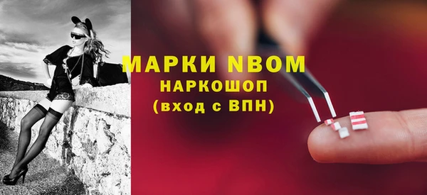 мет Алексин