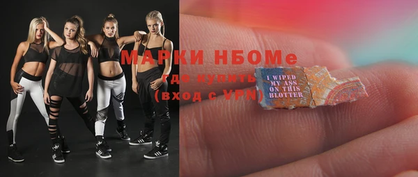 мет Алексин