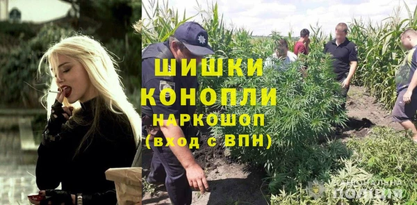 твердый Алзамай
