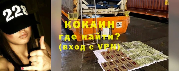 мет Алексин